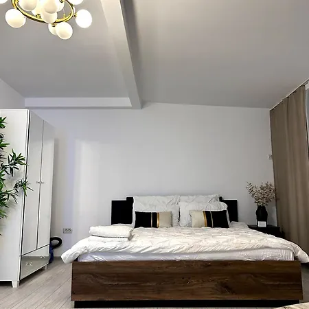 Brand New With Self Check In - Spital Fundeni -dragonul Rosu * Bucharest