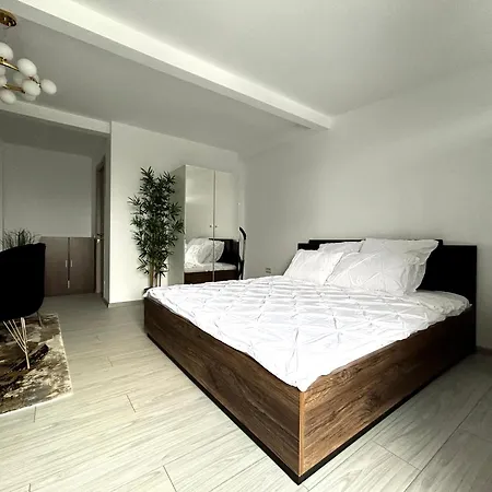 Brand New With Self Check In - Spital Fundeni -dragonul Rosu Apartment